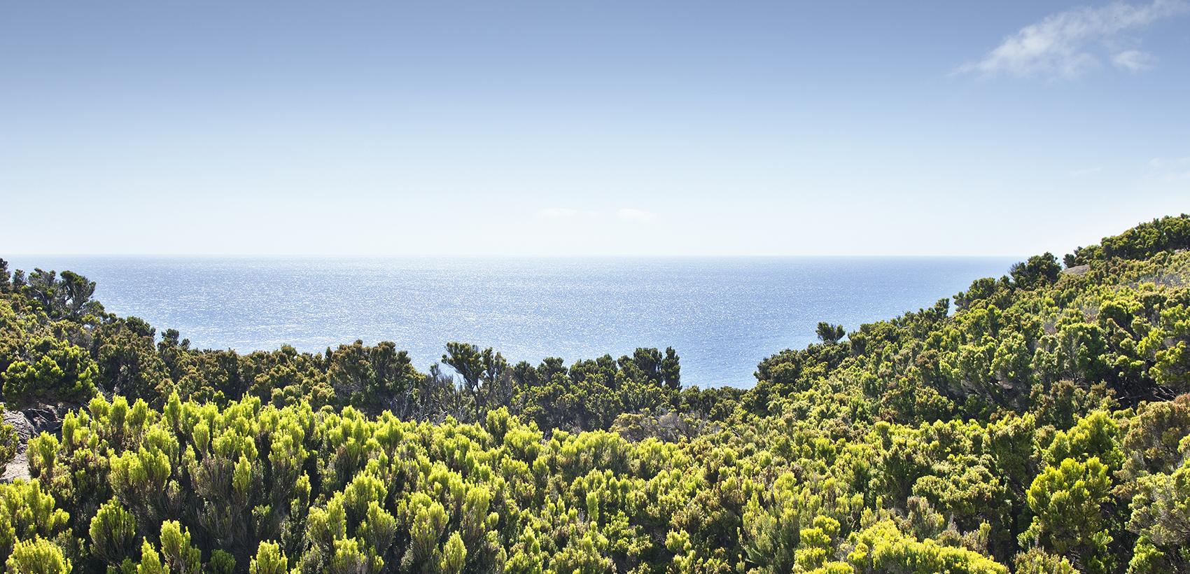 Faial - Galeria 3