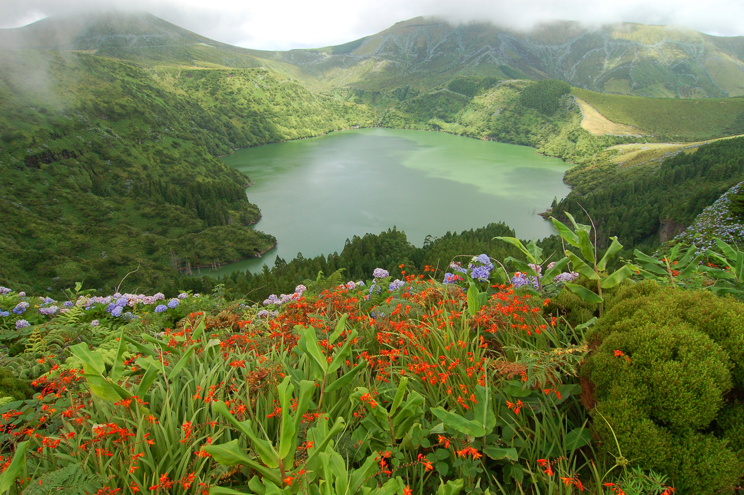 Faial - Galeria 5
