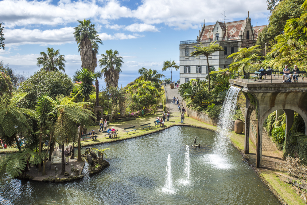 Funchal - Galeria 4