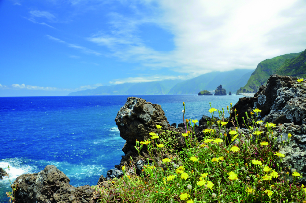 Funchal - Galeria 5