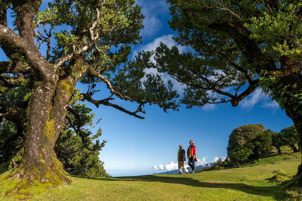 Funchal - Galeria 17