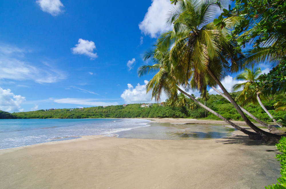 Grenada - Galeria 8