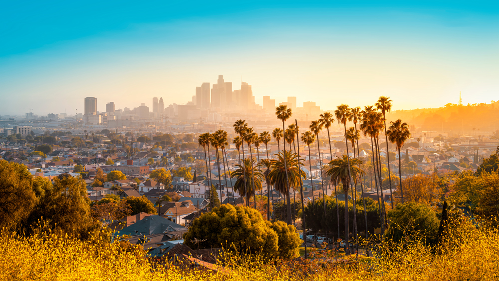 Los Angeles - Galeria 5